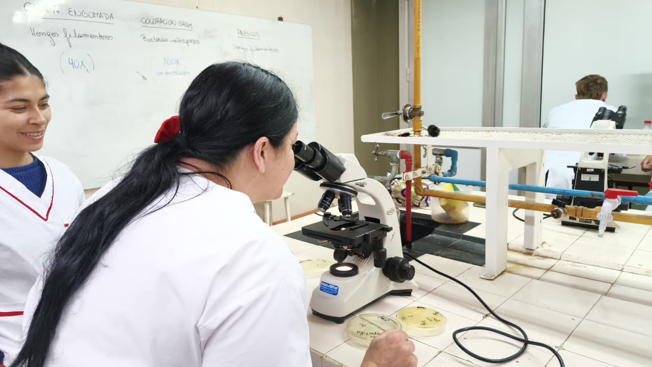 Práctica de laboratorio - Imagen 2